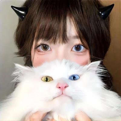 虎之眼